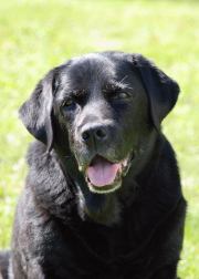 FI&SE&NO&NORD TR CH &nbsp;FI OB CH &nbsp;BH &nbsp;Buckthorn's One And Only